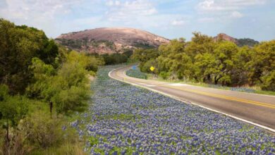 how-to-prepare-for-a-road-trip-from-brooklyn-to-texas